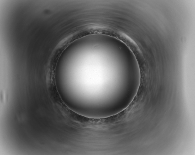 X0000099970775200805231404