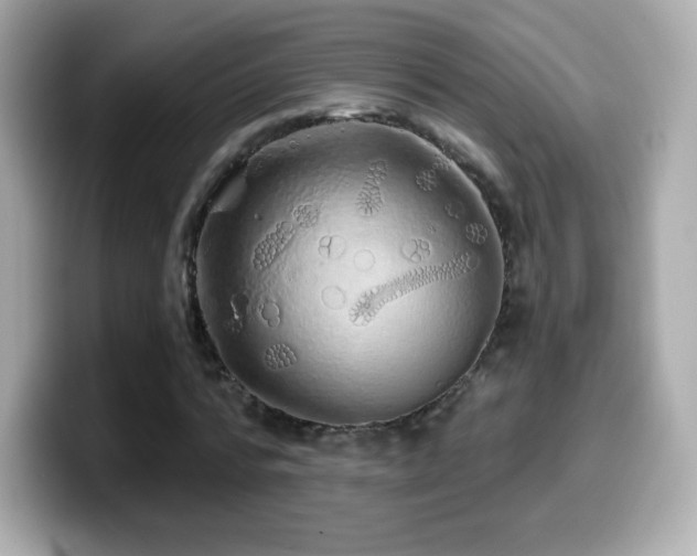 X0000099970776200805231404