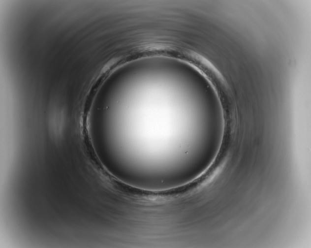 X0000099970777200805231404