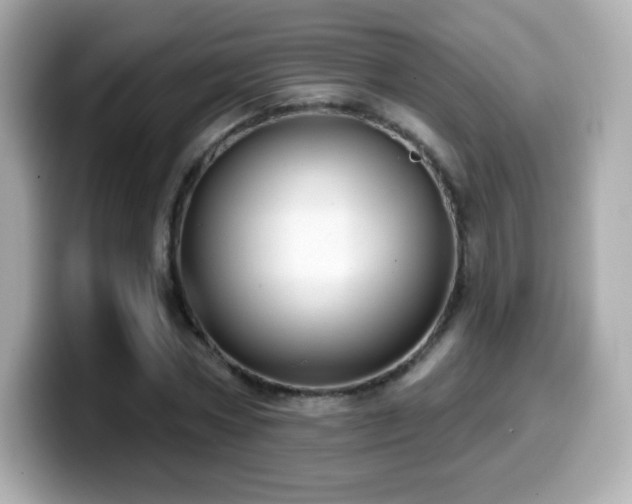 X0000099970778200805231404