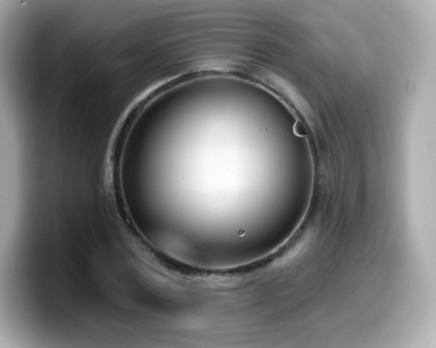 X0000099970779200805231404