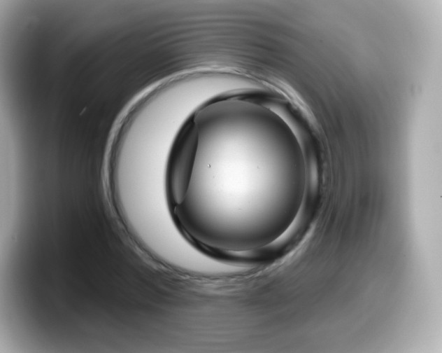 X0000099970780200805231404