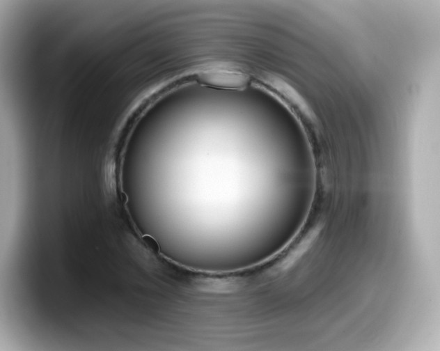 X0000099970781200805231404