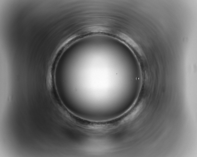 X0000099970782200805231404