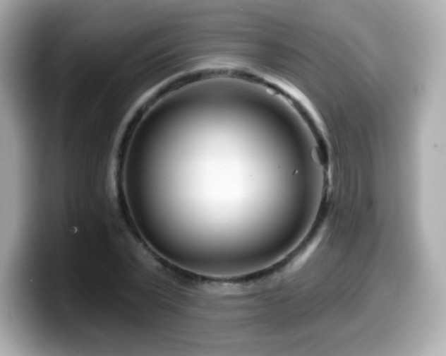 X0000099970783200805231404
