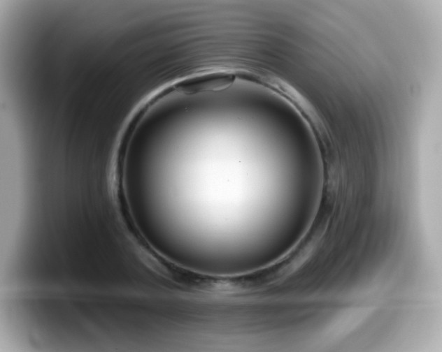 X0000099970787200805231404
