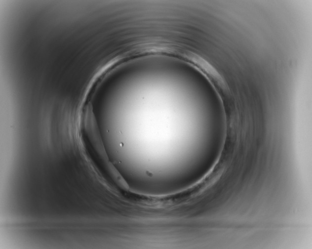 X0000099970790200805231404