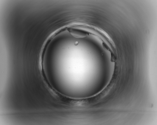 X0000099970791200805231404