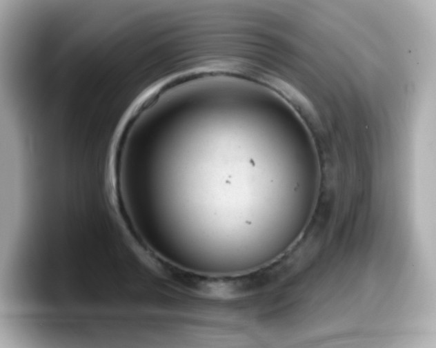 X0000099970792200805231404
