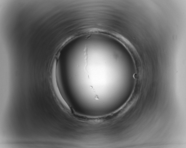 X0000099970793200805231404