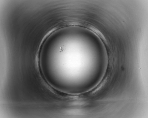 X0000099970798200805231404