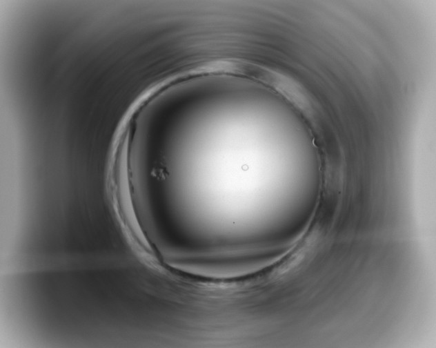 X0000099970800200805231404