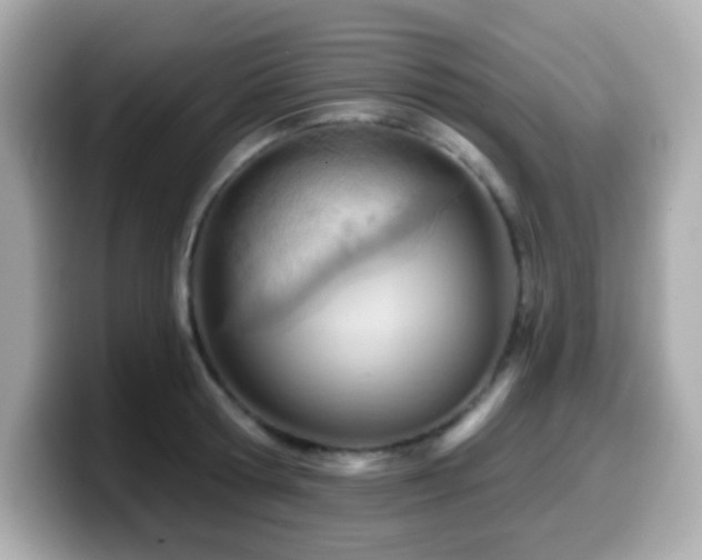X0000099970802200805231404
