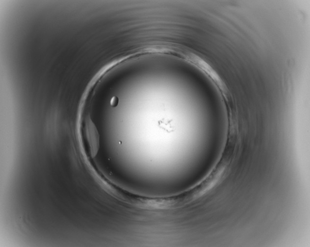 X0000099970803200805231404