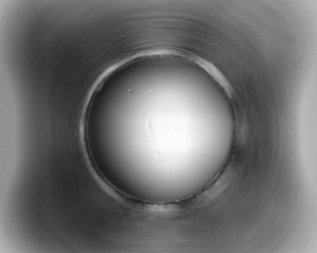 X0000099970805200805231404