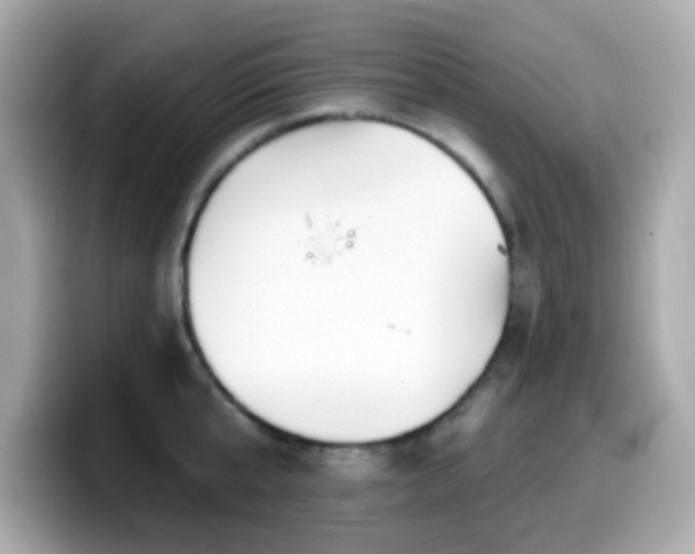 X0000099970807200805231404
