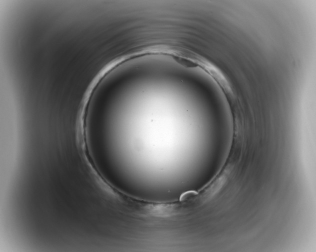 X0000099970808200805231404
