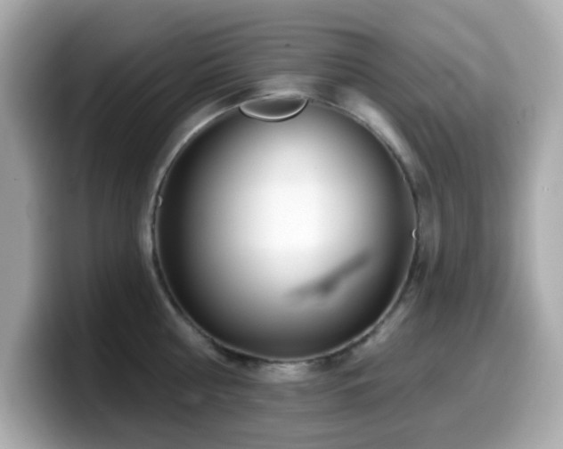 X0000099970810200805231404