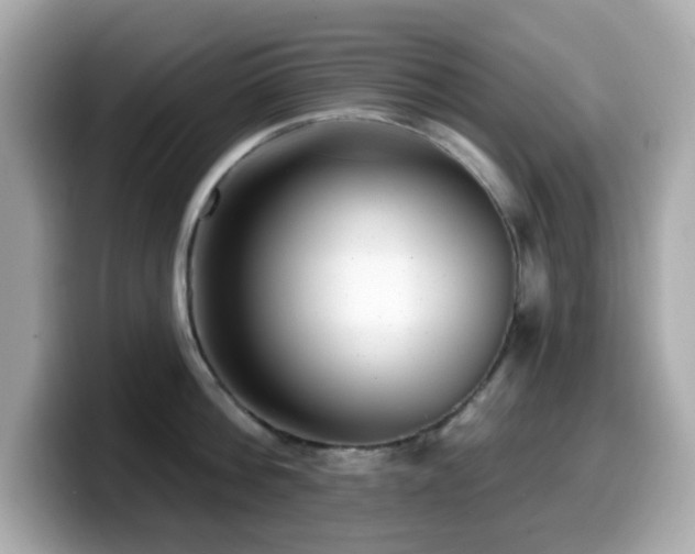 X0000099970812200805231403