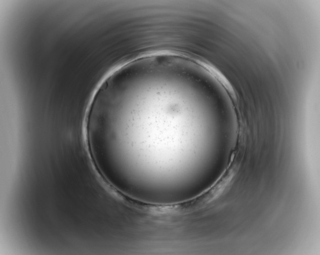 X0000099970813200805231403
