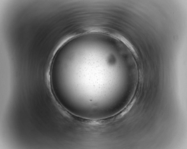 X0000099970814200805231403