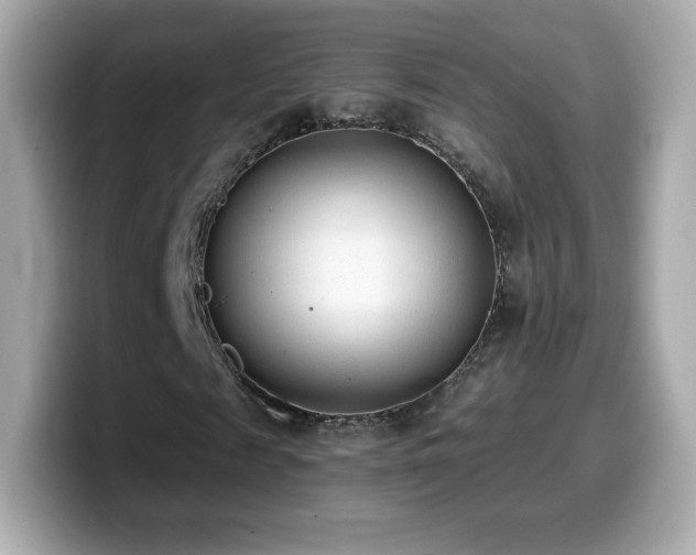 X0000099970817200805231403