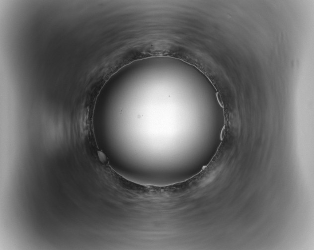 X0000099970818200805231403