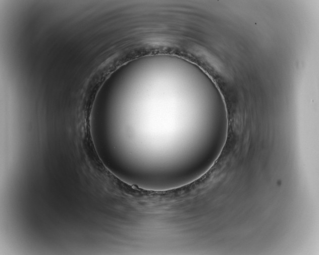 X0000099970821200805231403