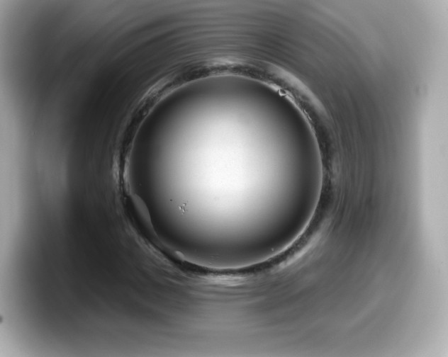 X0000099970825200805231403
