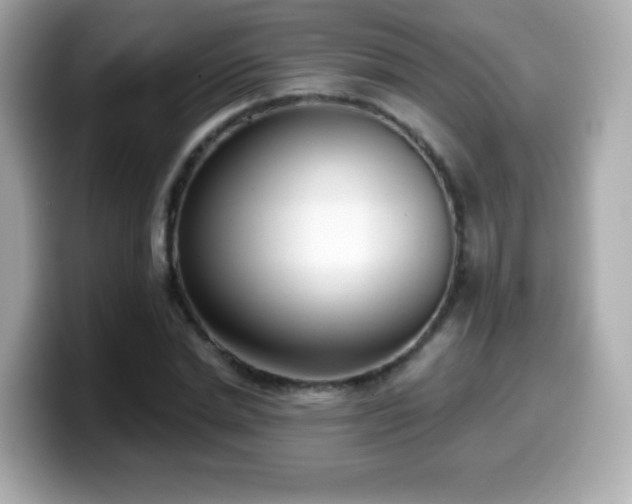 X0000099970830200805231403