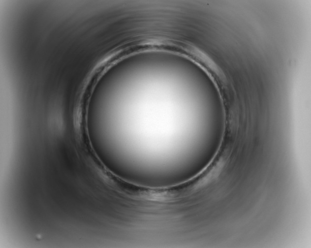 X0000099970831200805231403