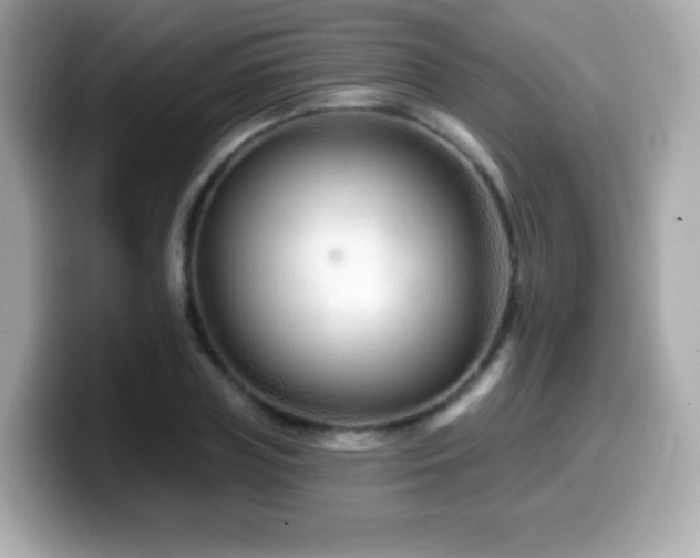 X0000099970835200805231403