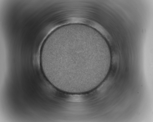 X0000099970836200805231403