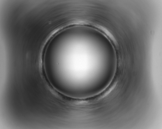 X0000099970837200805231403