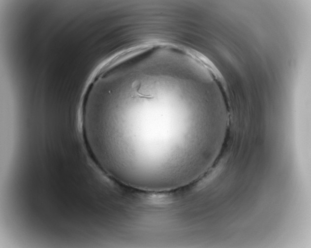 X0000099970839200805231403
