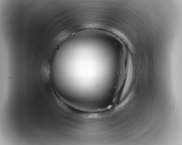 X0000099970841200805231403