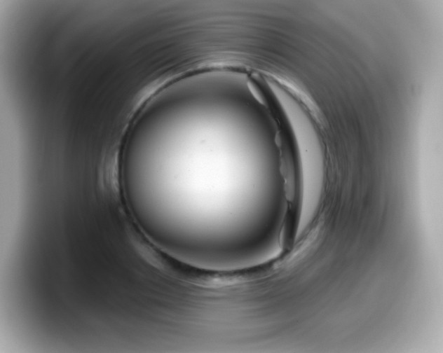 X0000099970842200805231403