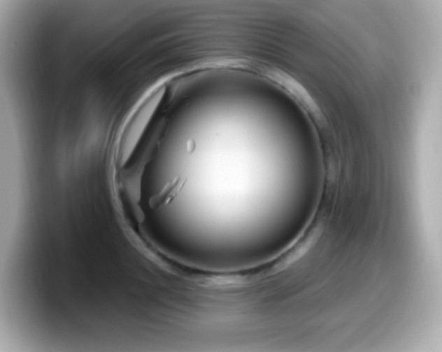 X0000099970844200805231403