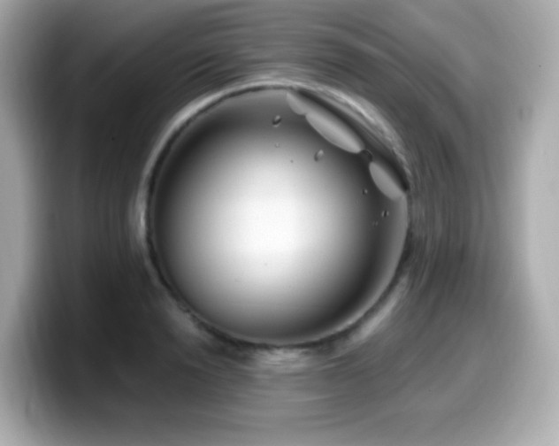 X0000099970846200805231403