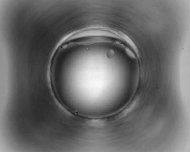 X0000099970847200805231403