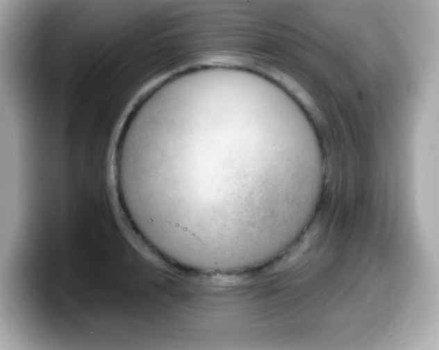 X0000099970848200805231403