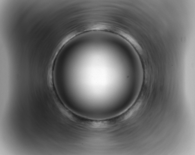 X0000099970850200805231403