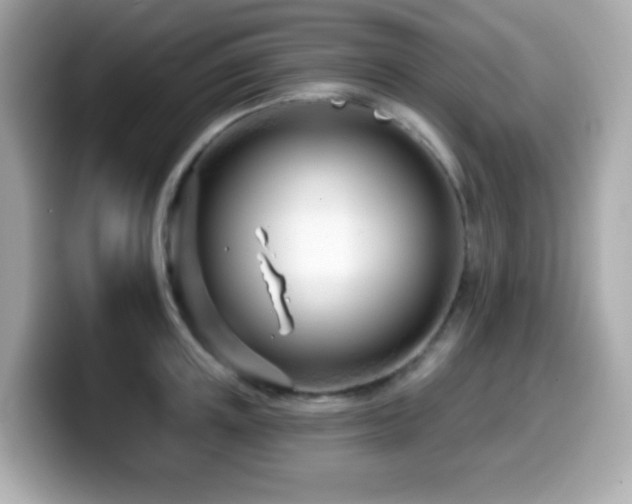 X0000099970851200805231403