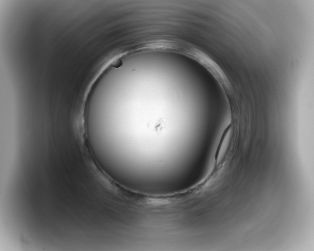 X0000099970852200805231403