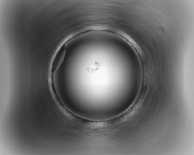 X0000099970853200805231403