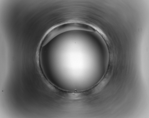 X0000099970854200805231403