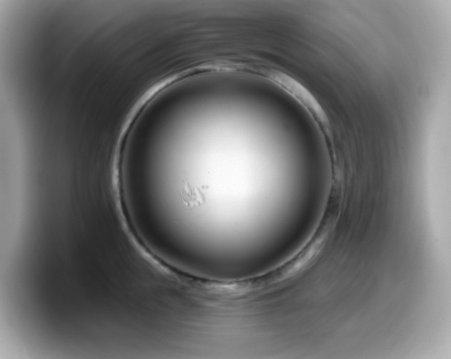 X0000099970855200805231403