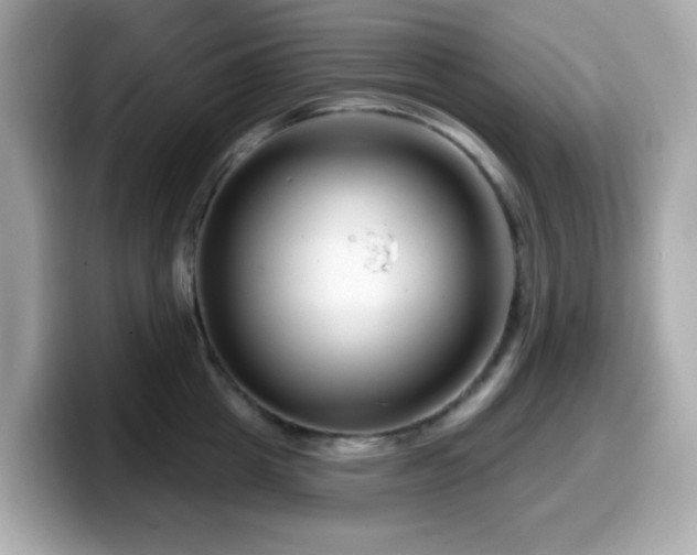 X0000099970857200805231403