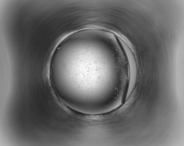 X0000099970862200805231403