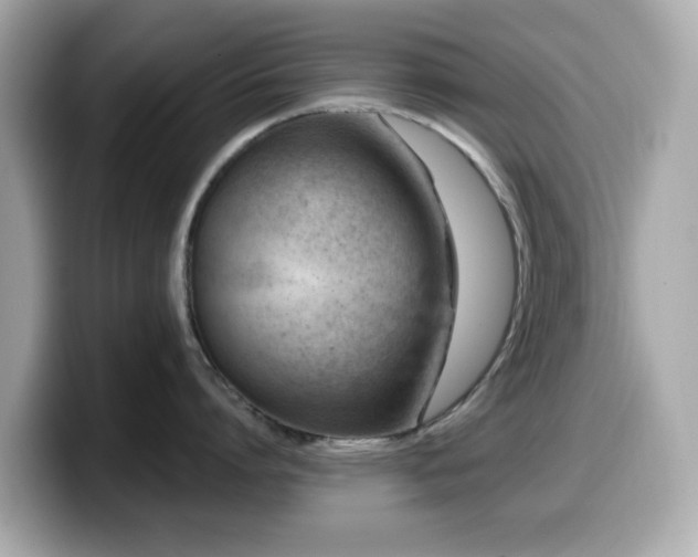 X0000099970864200805231403